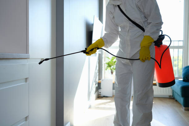 Best Attic Mold Removal  in Linden, AZ